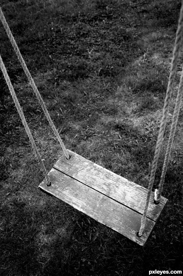 Woden swing